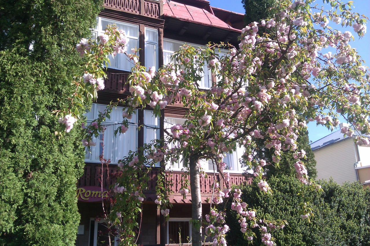 Сонячна Hotel Truskaveț Exterior foto